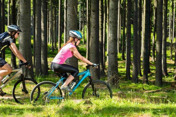 Location vélo adulte Compiègne
